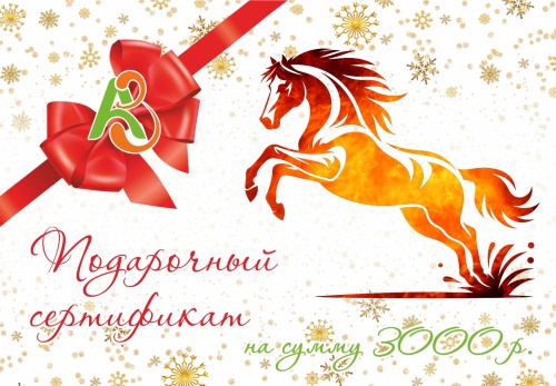 Сертификат 3000 (Новогодний)